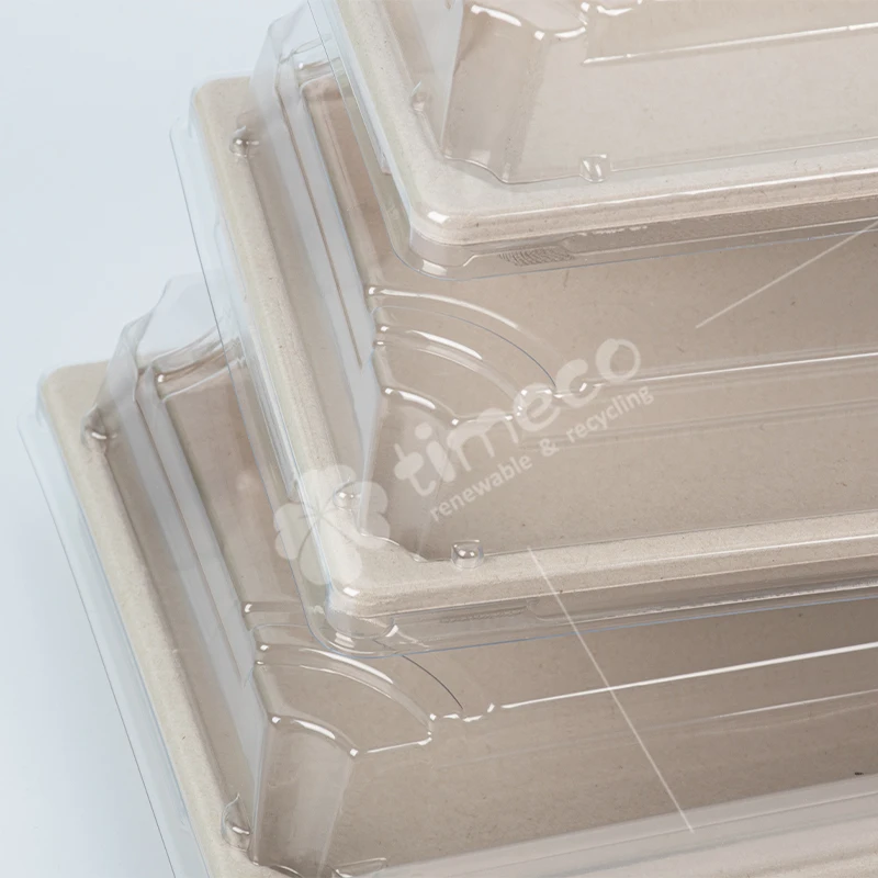 Wholesale Factory Bagasse Disposable Recycle Biodegradable Picnic Camp and Party Bagasse Pulp Plate