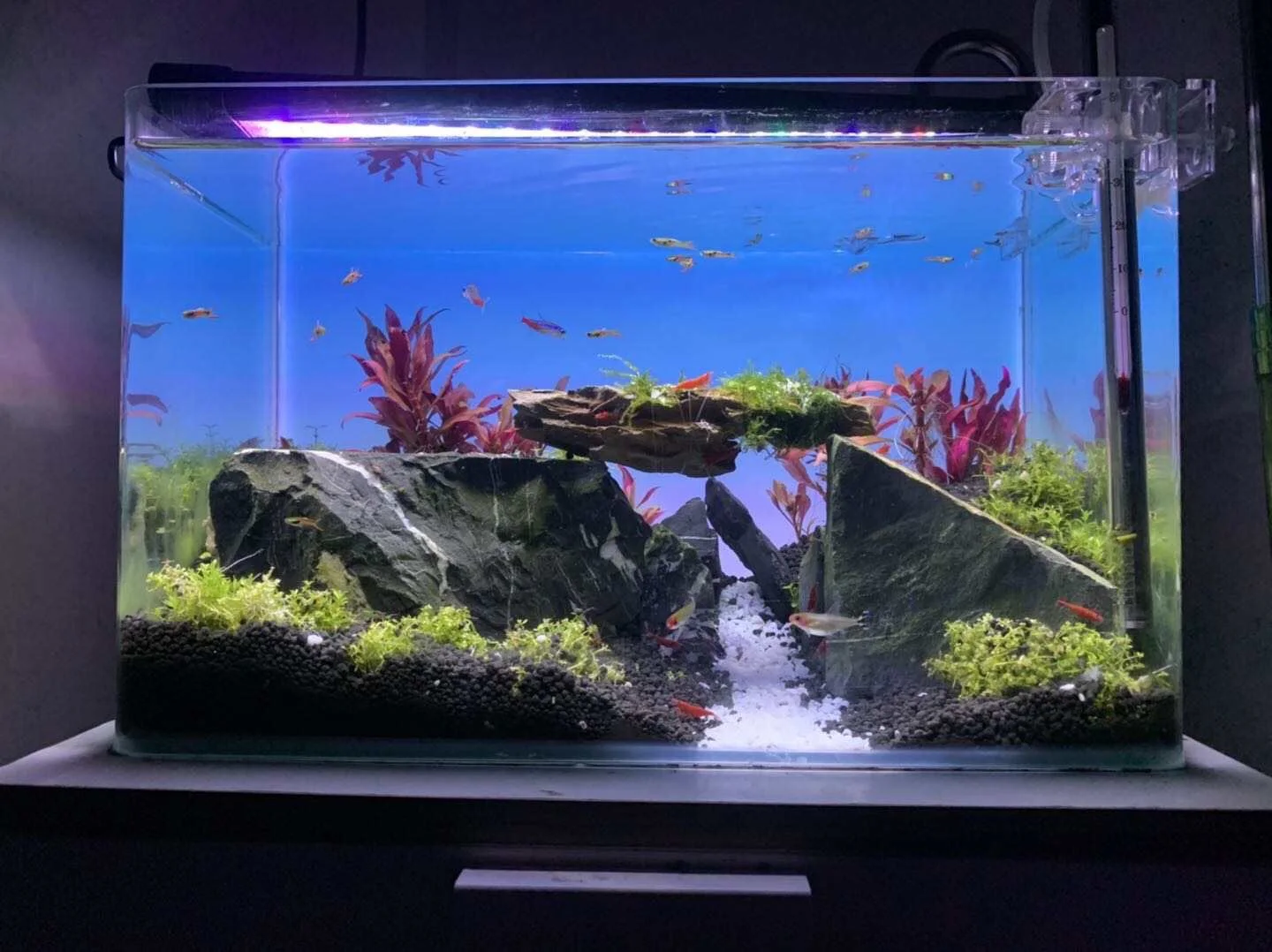 Customized Size Borderless Fish tank Changing Led Aquarium Backlight Aquarium Background Light