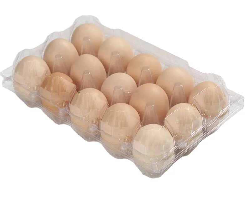 15 Cells Professional Wholesale Egg Packaging Custom blister clear PET Transparent Rectangle plastic Egg Trays
