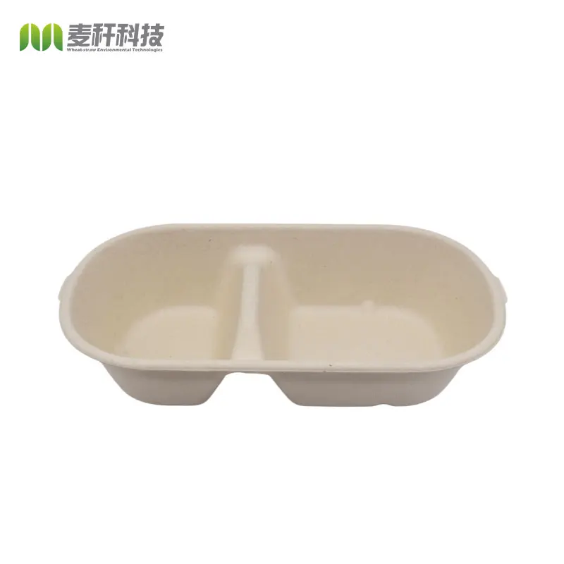 Disposable Biodegradable sugarcane bagasse pulp food container take away Lunch Box with lid