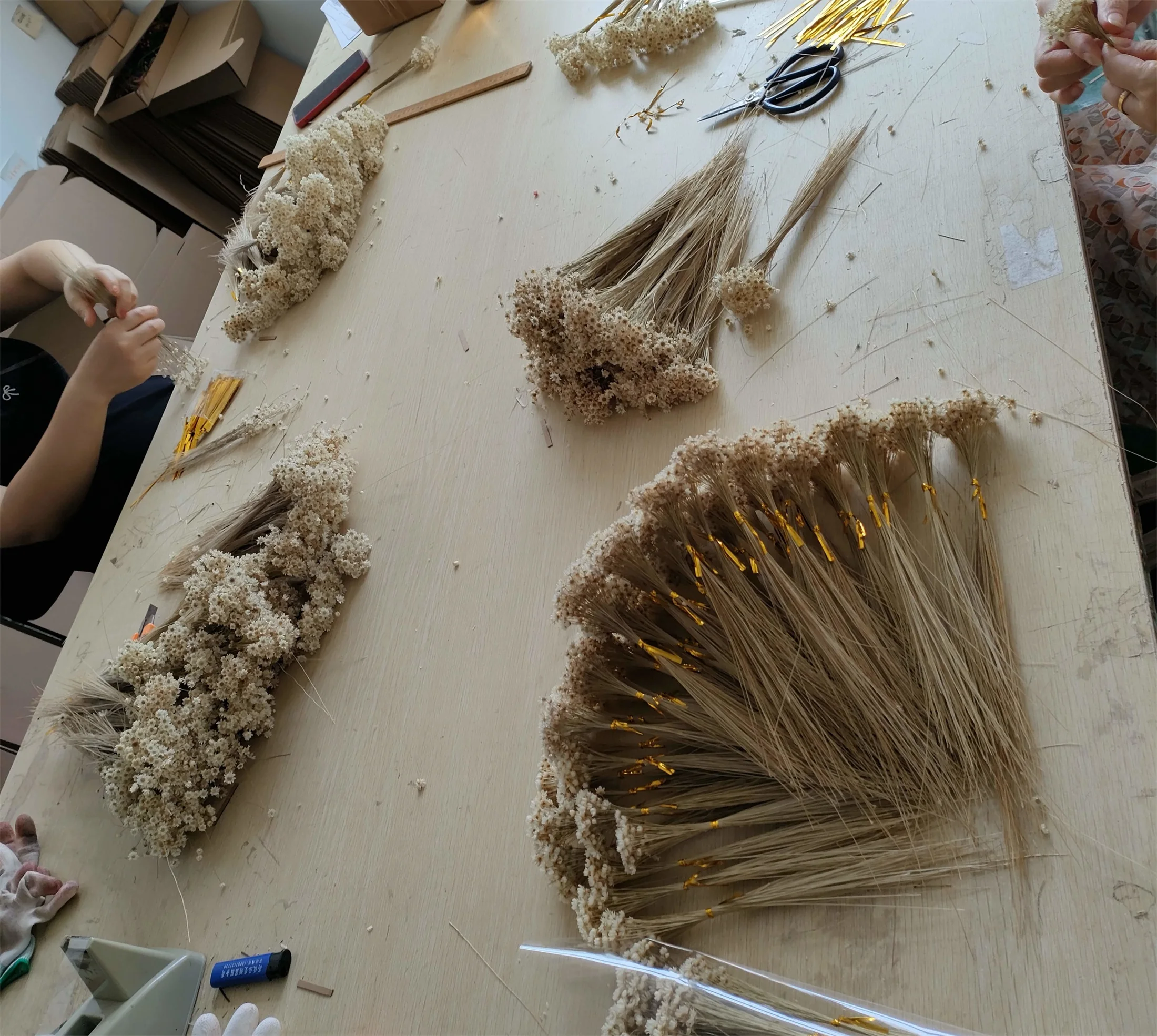 Dried natural magical daisy flower, star flower, brasil  wild mini flower 1cm