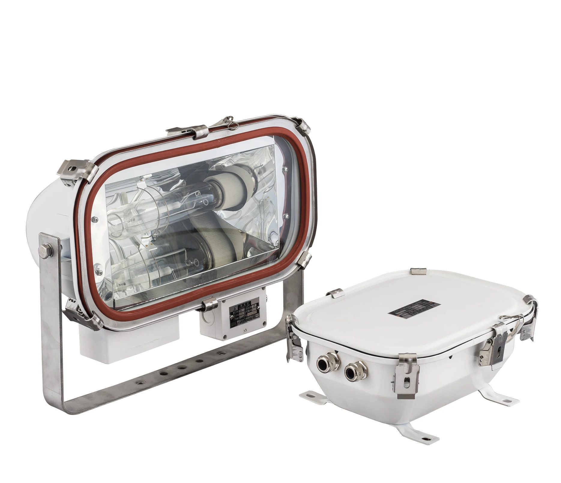 Manufacturer Marine Light High-pressure Sodium/Metal Halide 220V/50Hz 220v/60Hz 110V/ 60Hz  250W 400W IP67 E40 SUS Spot Light TG