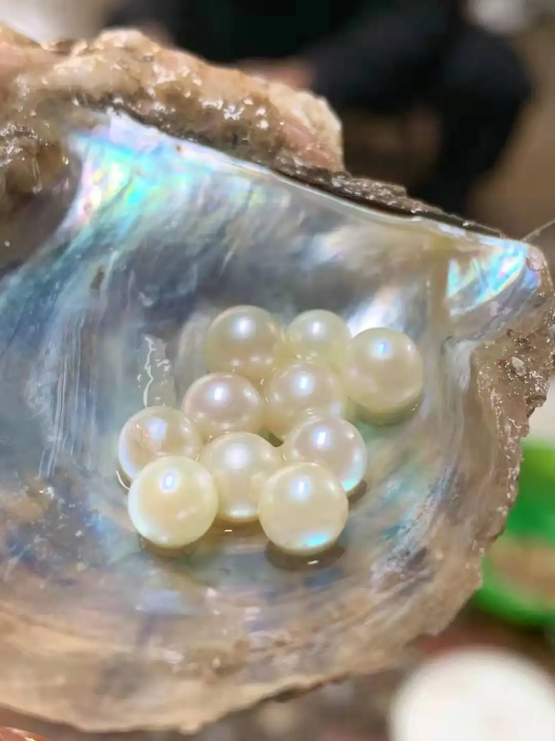 Natural Freshwater Pearl 0.8mm Half Hole Drilled 4mm-10mm Size White Color 3A Quality Loose Pearls for Jewelry