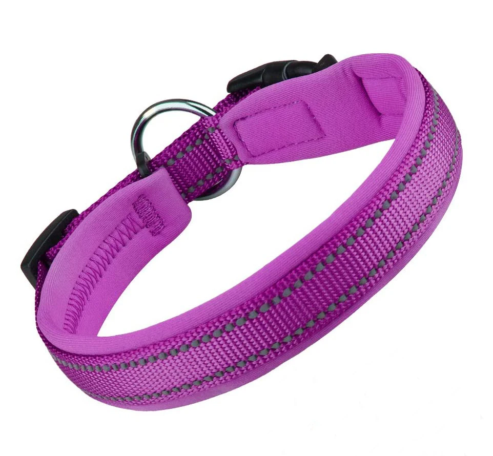 Soft Neoprene Padded Dog Collar