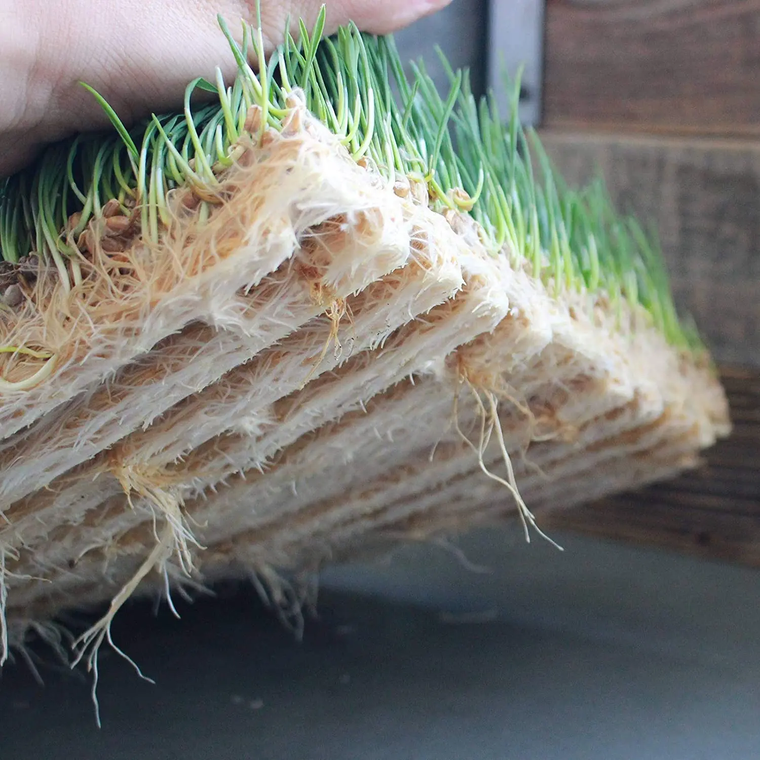 Jute Micro-Mats Hydroponic Grow Pads/Organic Production Wheatgrass, Microgreens Plant and Seed Germination for Greenhouse Trays