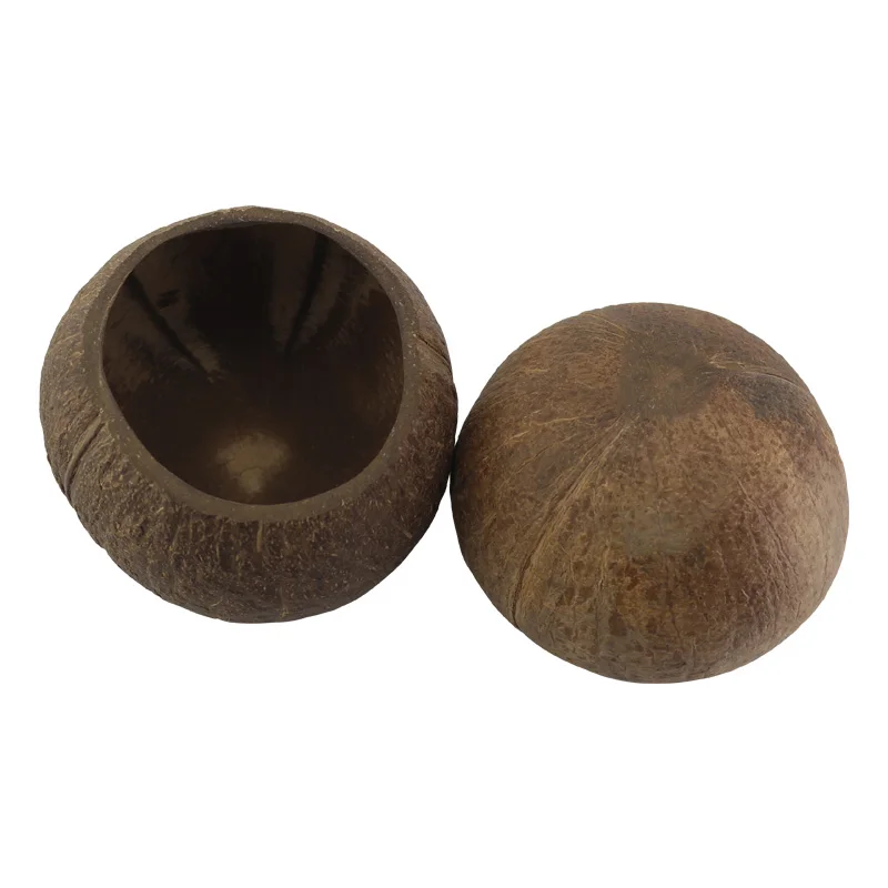 Reusable Coconut Bowls made from real coconut shells