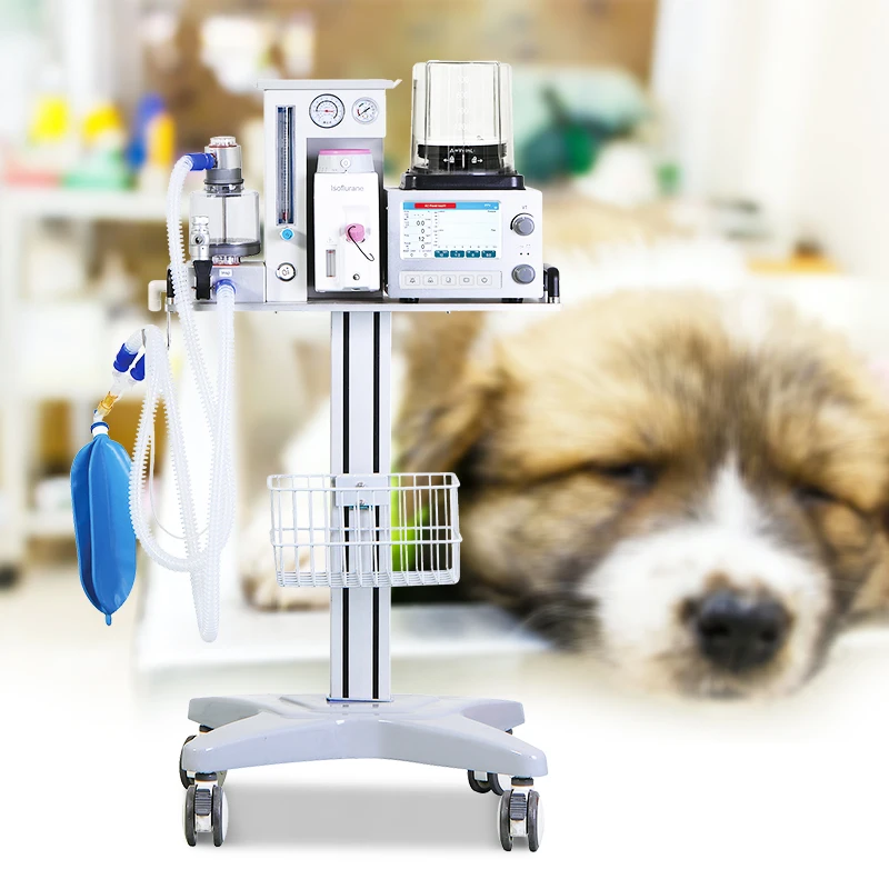 Vet Factory Price Veterinary Anesthesia Machine Medical For Animals Vet Anesthesia Device