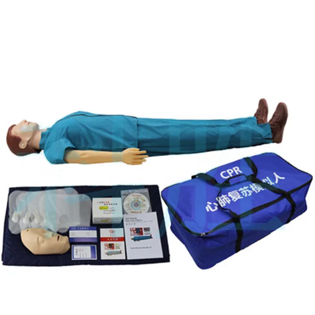 For Sale CPR Model Medical Teaching Adult CPR Training Equipment Manikin Support Wholesale Manikin Cpr Face Shield Natural Size