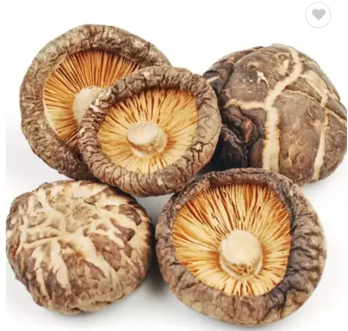 Hot Sale Farm Cultivation Healthy Organic Dried Shiitake Mushrooms For Sale Freeze Dried Shiitake Mushroom