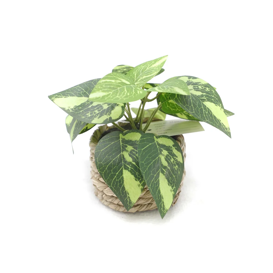Artificial Green Plant Garden Decoration Outdoor Simulation Green Plant Watermelon Leaf Bonsai Plant Seaweed rope pot