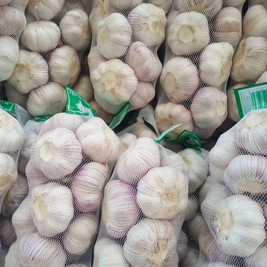 Normal White Garlic 6 0 Garlic Mesh Packing For Health