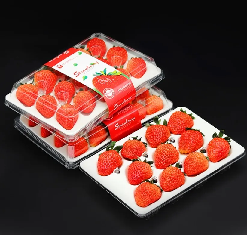 9 12 15 20 24 28 32 35 Cells Supermarket 500g Fresh Strawberries Fruit Box Plastic Trays Strawberry Fruit Packaging