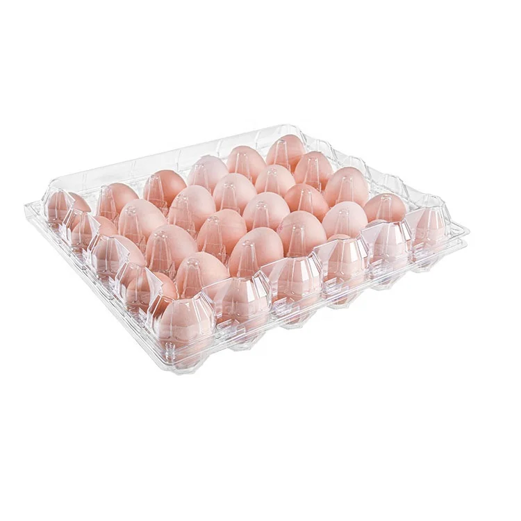 Wholesale Cheap Disposable Transparent Plastic Egg Tray