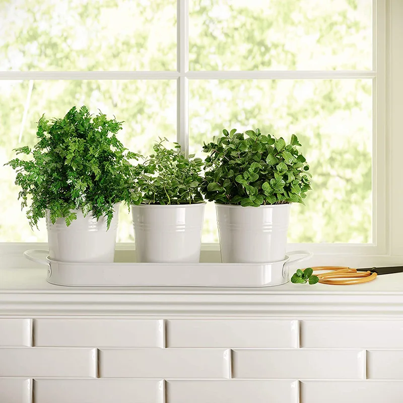 Herb pot planter set with tray for home balcony succulent potted plants