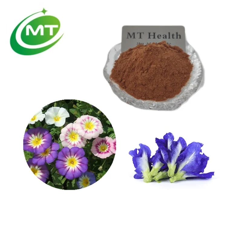 Pure natural Convolvulus pluricaulis extract 10:1 Shankhpushpi extract powder