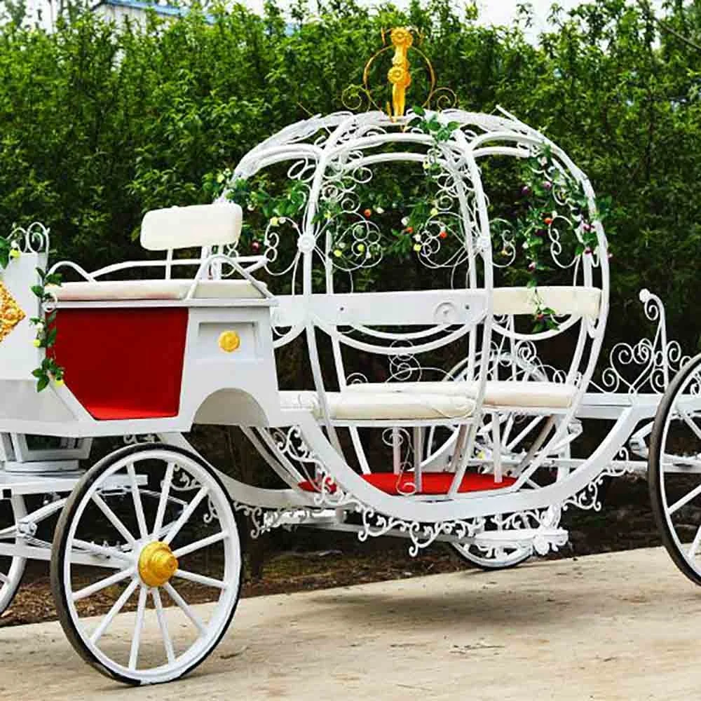 Лучшие продажи дешевое специальное транспортное оборудование автомобиль электрическая тыква лошадь коляска/лошадь вагон/конные