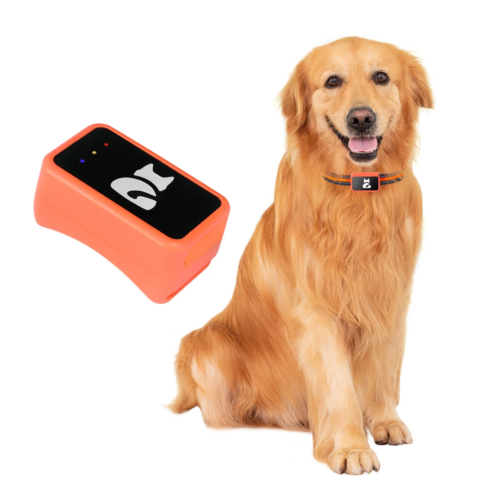 G68P Smart Pet Activity Monitoring GPS Tracker 4G Real Time Geo Fence Alarm Dog Cat GPS Collar Tracking Device With Free APP