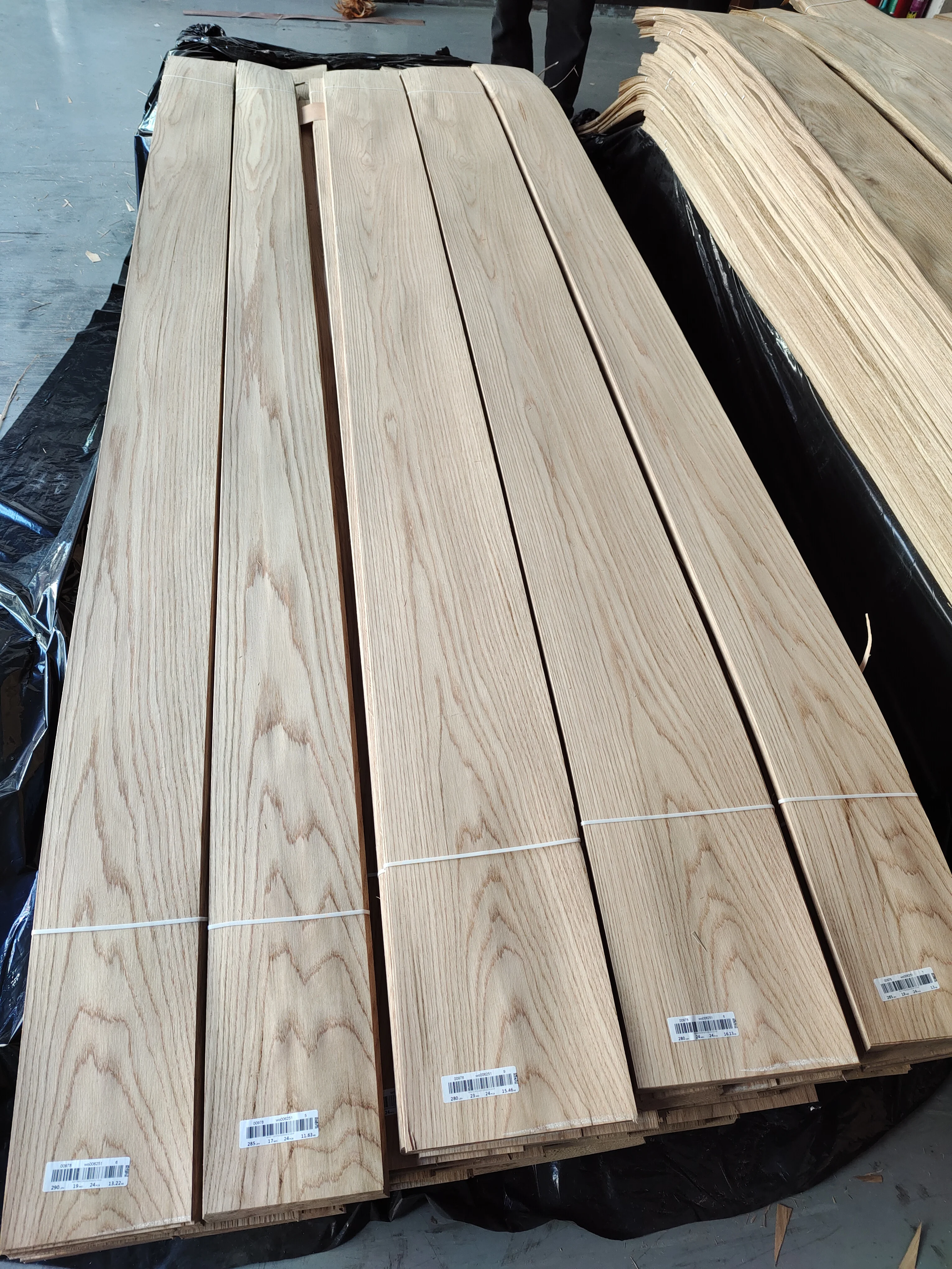 European Oak Wood Veneer 0.50 MM Crown Cut