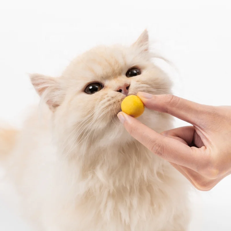 Pet Treats Dog Treats Wholesale Factory Outlet Hot Sale Fish Dices Natural Freeze Dried Salmon Cubes Cat Snacks Dry Pet Treats