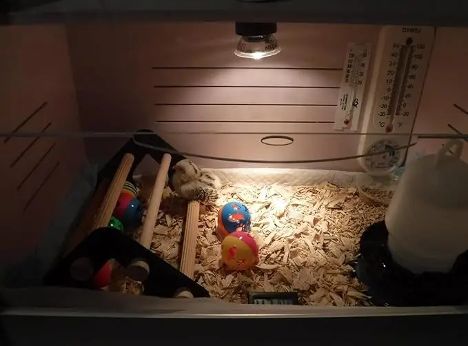 Durable natural wooden root poles, suitable for chicken coop, training chicken habitat for mini chicks, fun chick toys