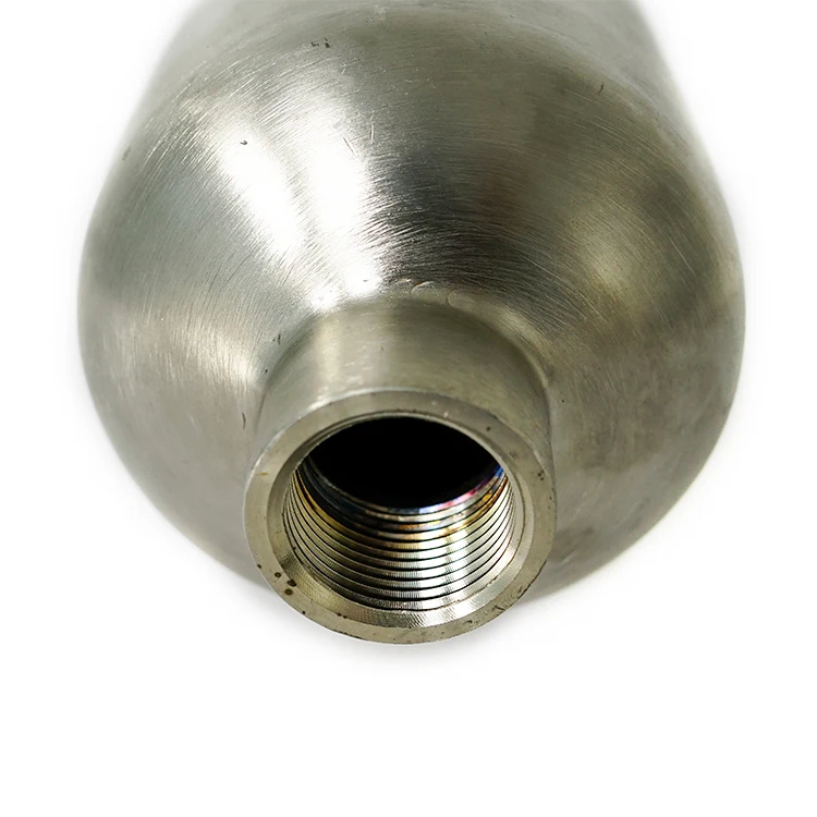 SUS304 Chemical Metering Pump Pulsation Damper Air Chamber Pulse Damper Pump With Pressure Gauge Damper For Dosing Pump