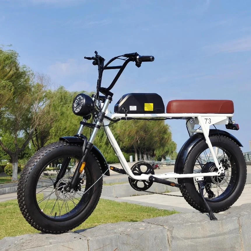 Super powered electric motorcycle style vintage fat tire electric bike retro electric bike 2000w optional for sale