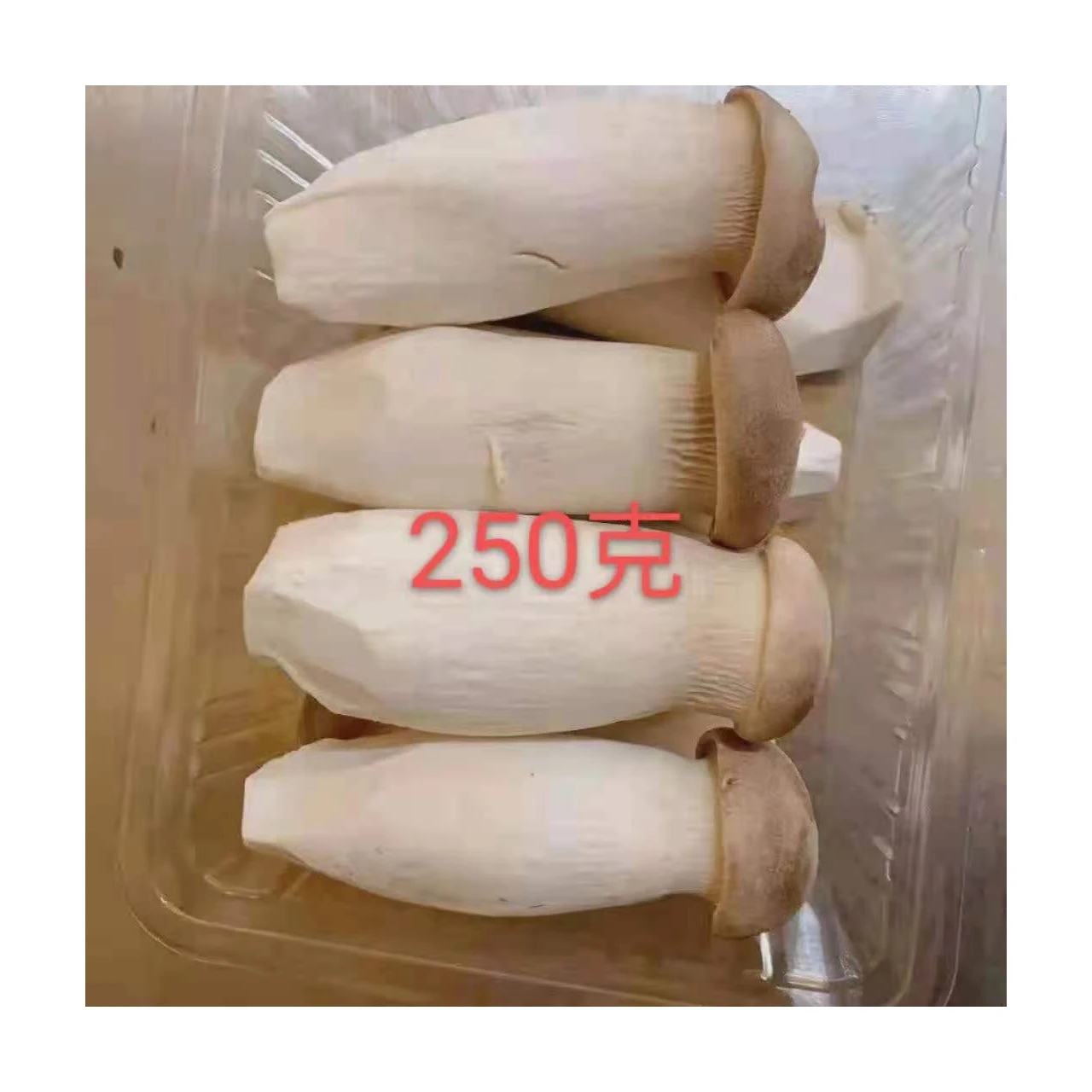 Высококачественные съедобные грибки, свежие устричные грибы King, распродажа