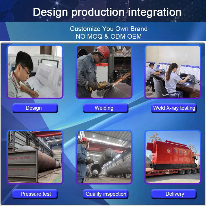 CJSE automatic biomass fired chain grate steam boiler for food processing