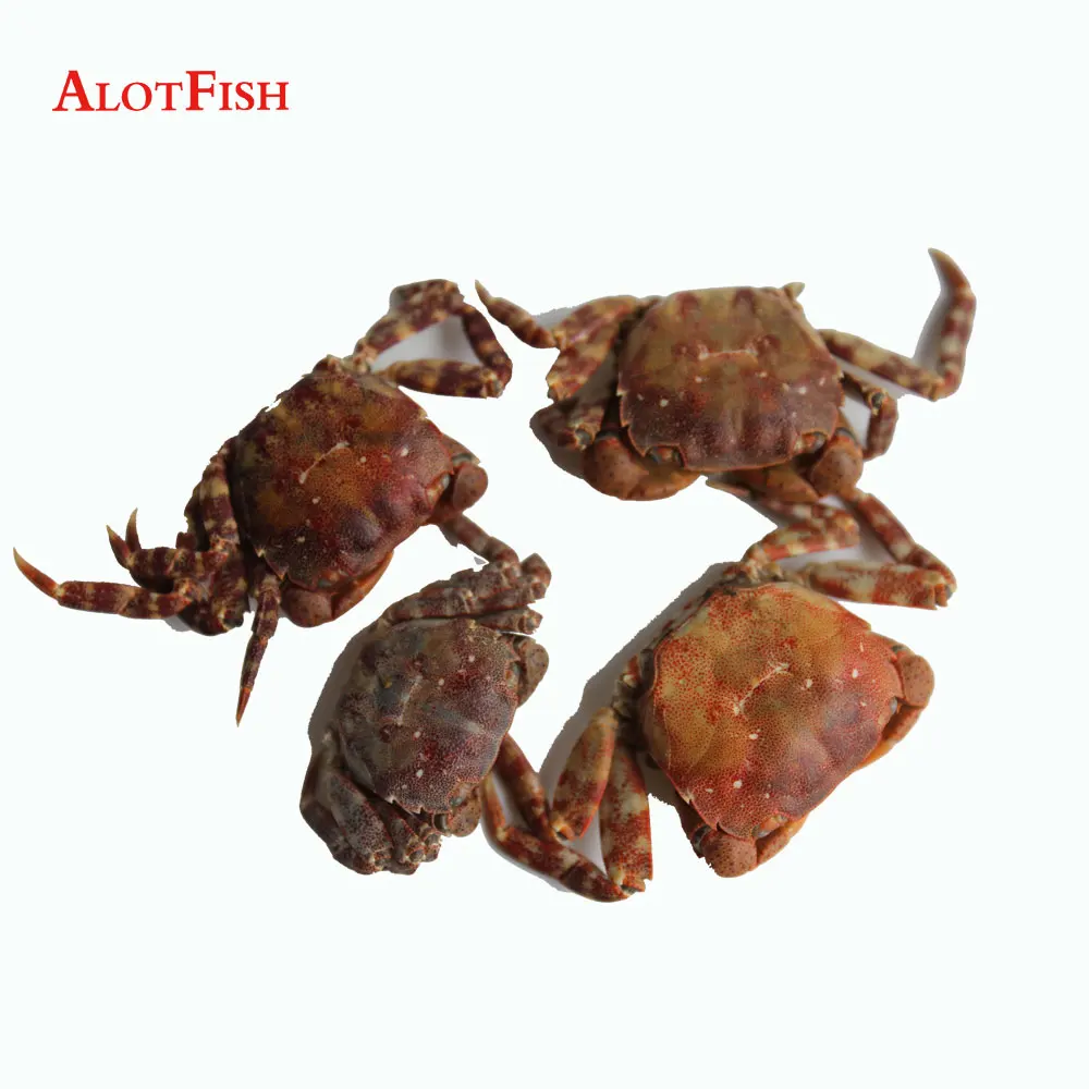 Fish Bait Freeze Dried Sand Crab Fishing Bait