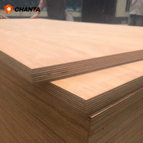 Linyi фабричное низкая цена 19 фанеры 18 мм Морская многослойная фанера из chanta