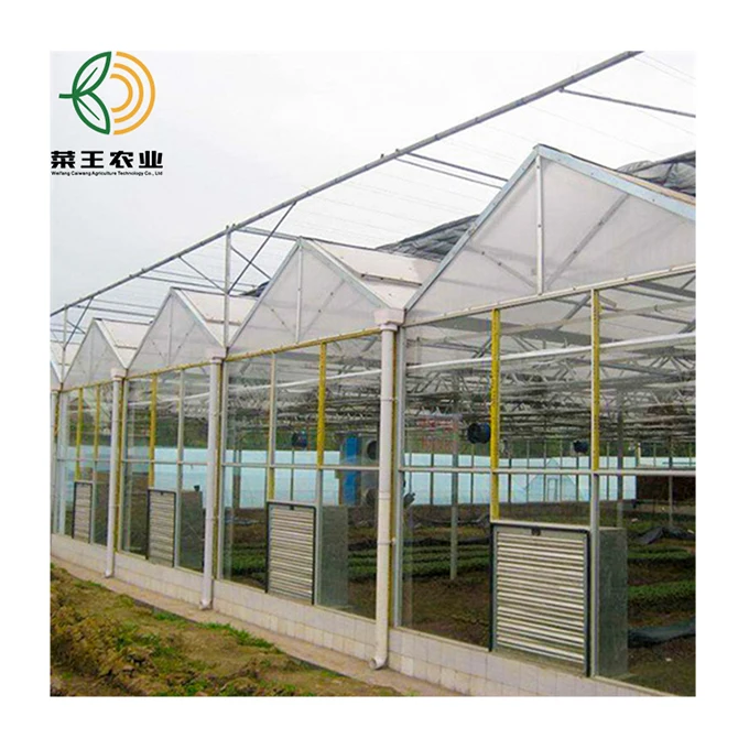  China Factory Price Plastic Sheet Green House for Vegetables Fruits