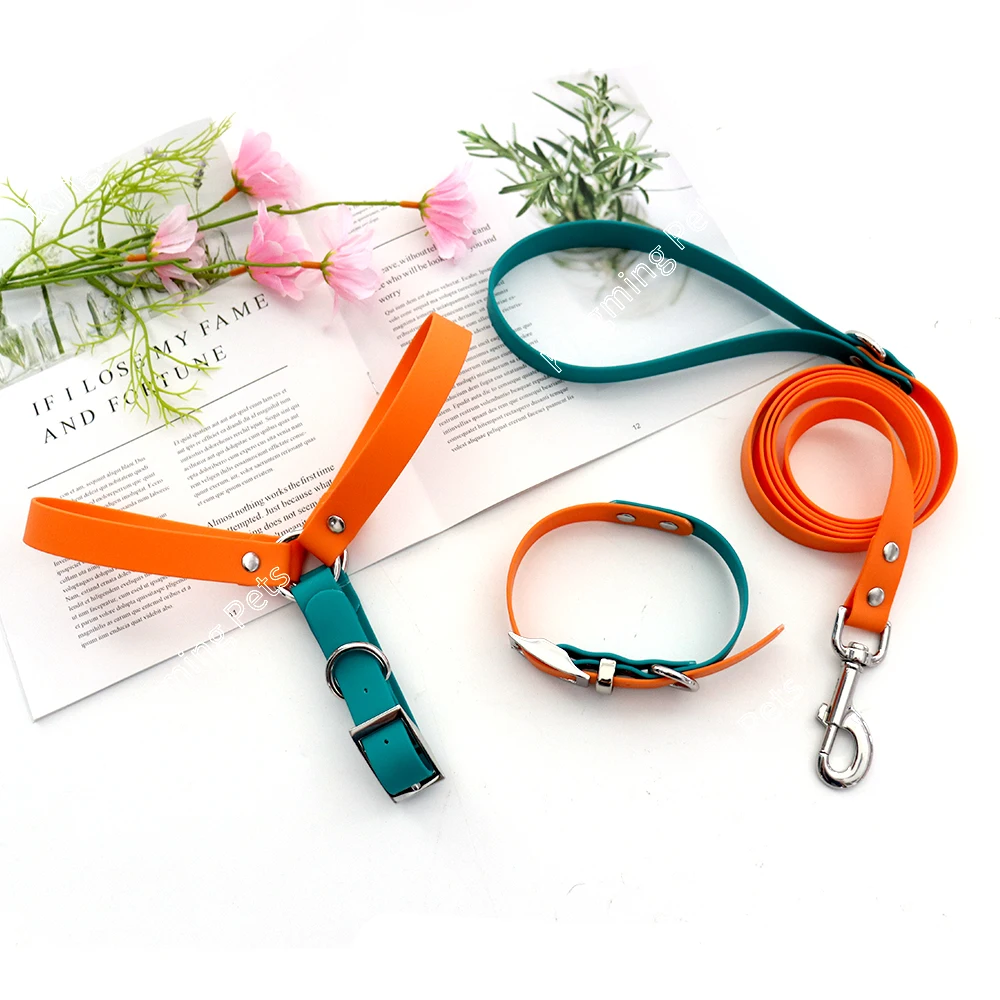 PVC color blocking plastic waterproof metal insert buckle wholesale custom logo pet dog and cat outdoor sports harness set