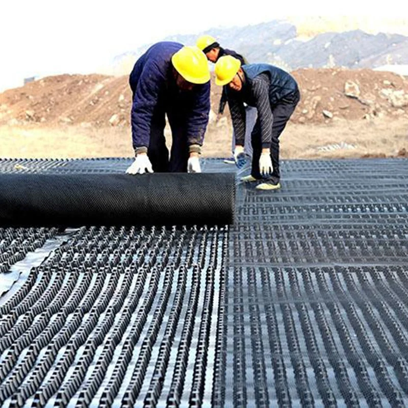 Лидер продаж водонепроницаемый пластиковый лист дренажная доска HDPE дренажный коврик с мембраной