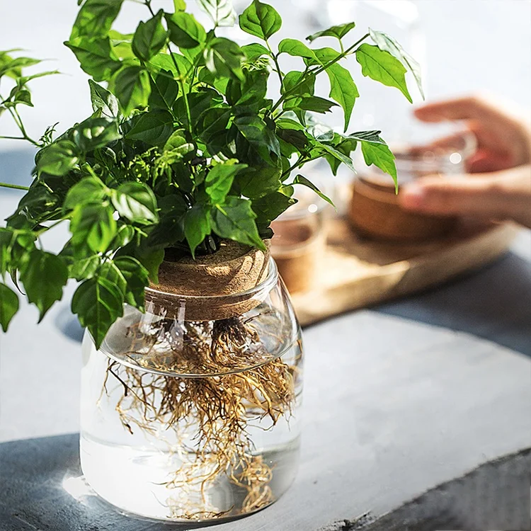 Creative Table Indoor Hydroponic Plant Round Nordic Decorative Clear Small Flower Bottle Wedding Vases