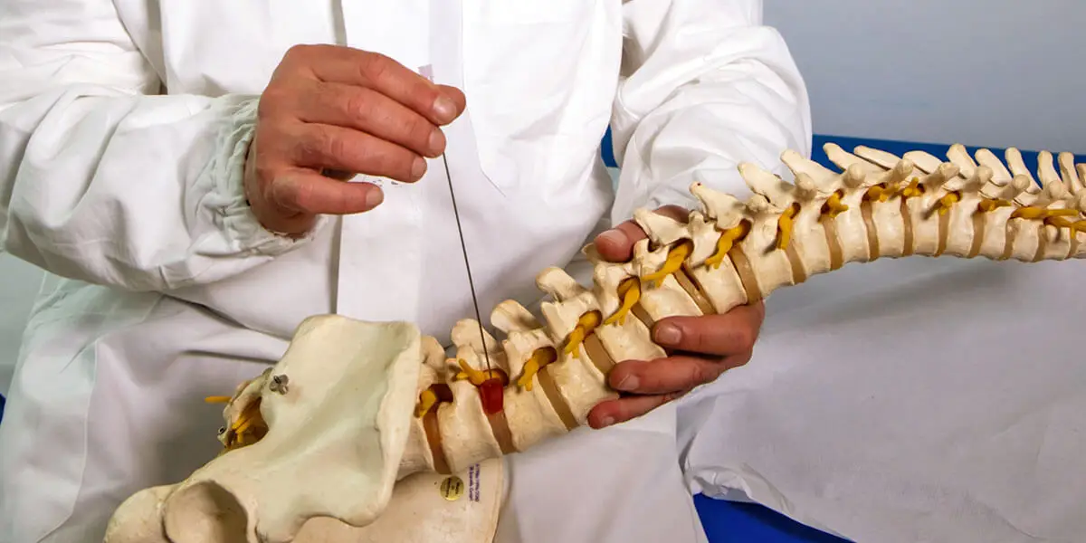 New diode surgical  pldd laser surgery equipment for numbnesssciatica laseev diode laser 980nm+1470nm