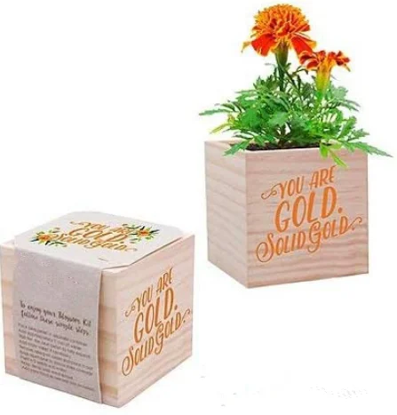 plant Cube Appreciation Gift and Wooden Planter - Employee Teacher Thank You  Desk Accessory
