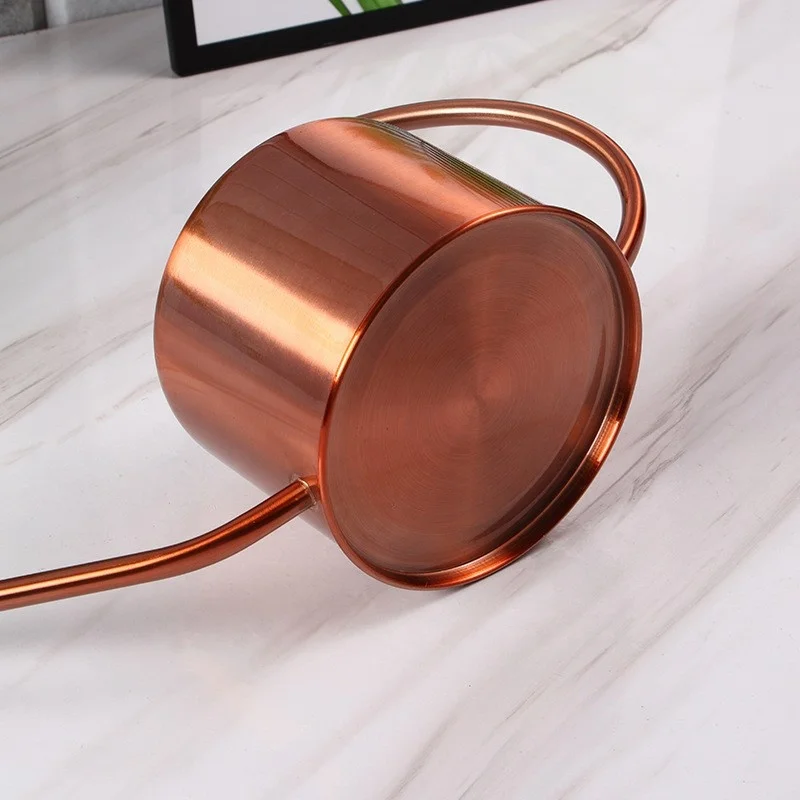 Outdoor Metal Stainless Steel Gardening Water Can Indoor Plants Flowers with Long Spout Watering can