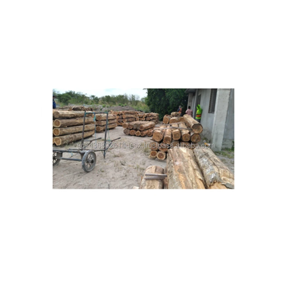 Eco  Friendly good price australian pine firewood carrier driver device cabin diffuser logs