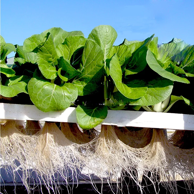 40holes Aquaponics Grow Trays Hydroponic Vegetable Plant Plastic Tray Microgreen Growing Tray