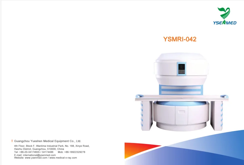 Permanent Mri System