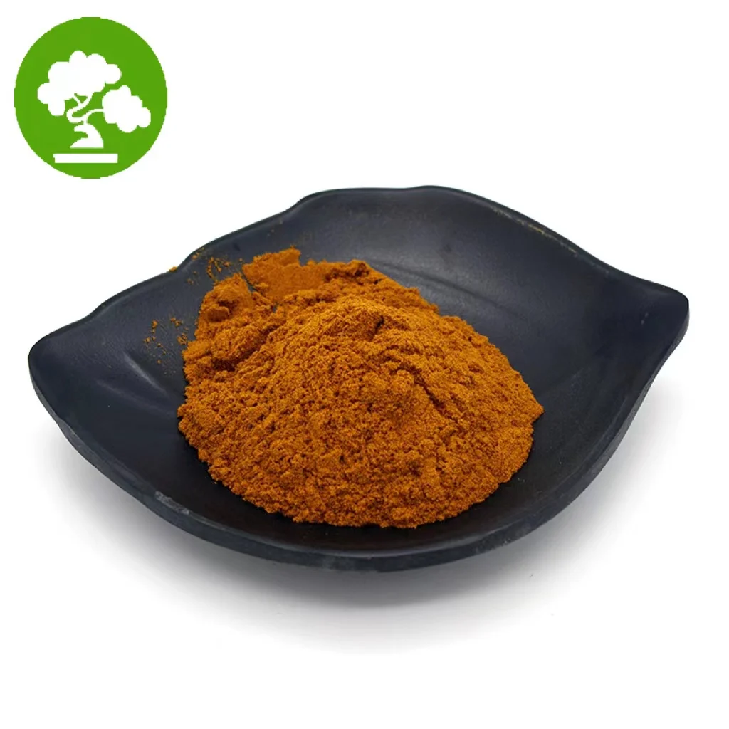 Wholesale Price Burdock Root Extract Powder 10:1 Burdock Root Powder