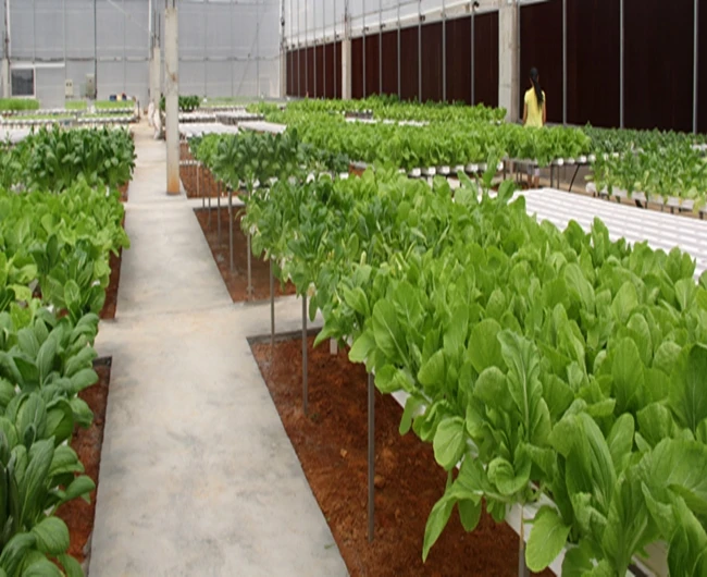 НМТ канал вертикальной гидропоники растут ПВХ трубы Microgreen завод