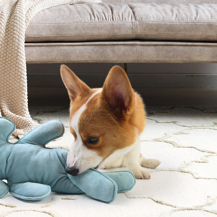 Petsinn Proper Price Good Quality Pet Chew Funny Plush Dog