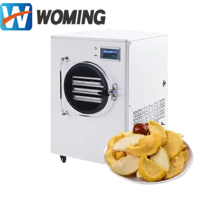 Small 0.1 m2  2KG Freeze Dryer Food Drying Lyophilizer Machine For Home Use Vacuum Freezing Dryer Fruit Vegetable Juice