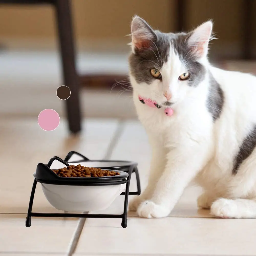 
Bright Plus Quality-Assurance Dog Cat Bowl Fashion Feeding Water Feeder Ceramic Pet Bowl 