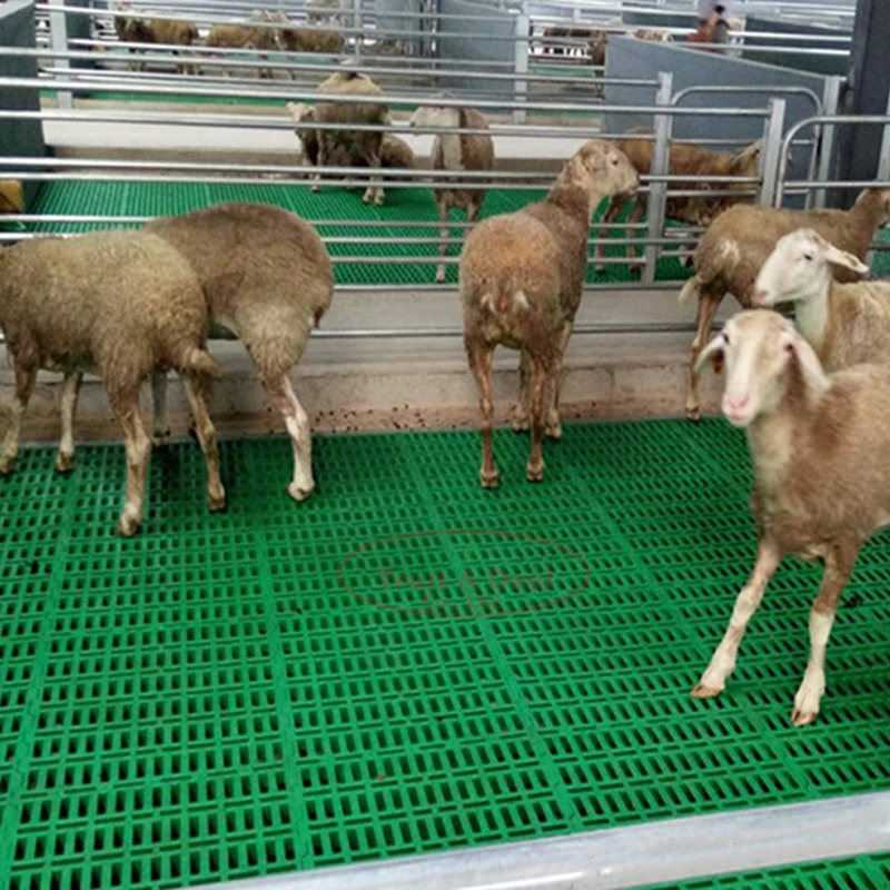 2023 сельскохозяйственные животные, скот, домашняя птица, коза, Овечья настил, пластиковый настил, доска с решетчатым полом