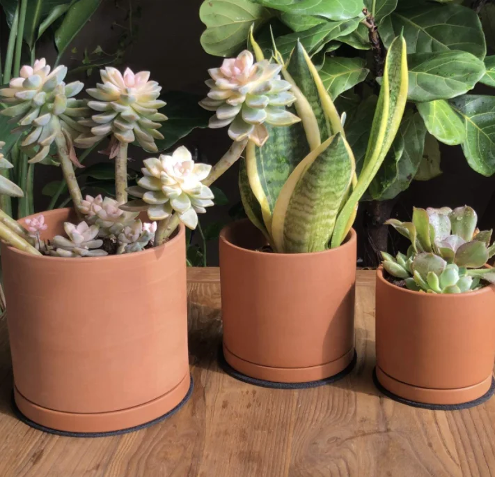 Terracotta Pots  Leaves Pattern Planter Pot