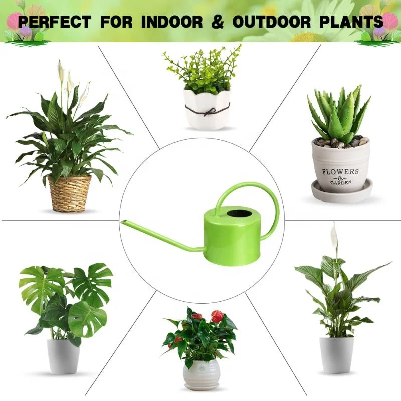 Decorative Indoor Water Cans Galvanized Metal Garden Watering Can with Easy Pour Gooseneck Spout for Home Plant Watering