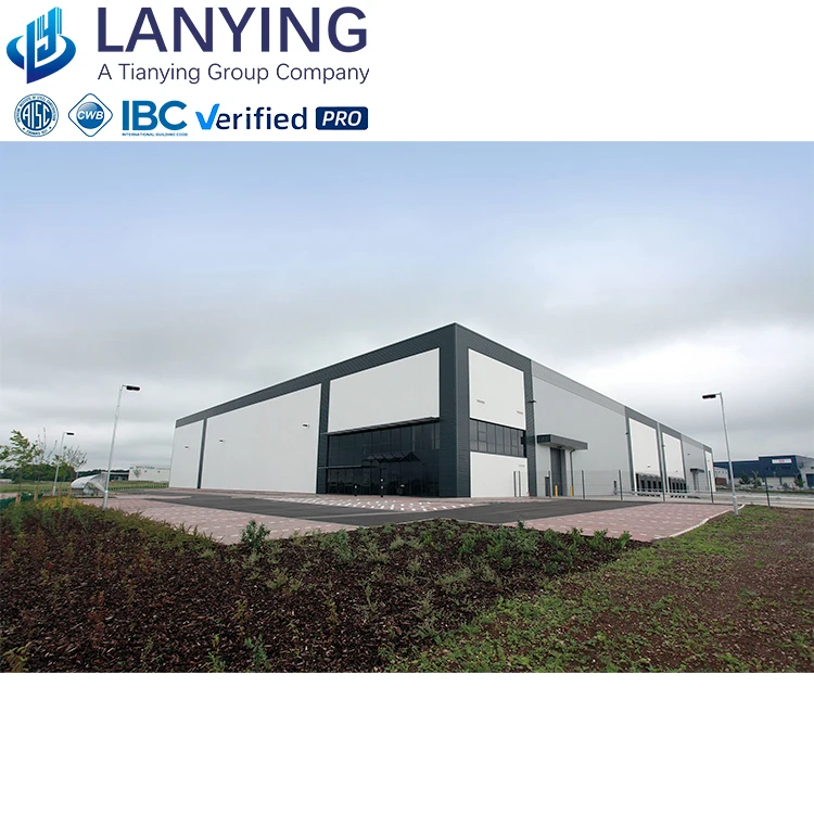 Industrial Design Prefabricated Steel Structure Multi-Warehouse Workshops & Plants Construction Building