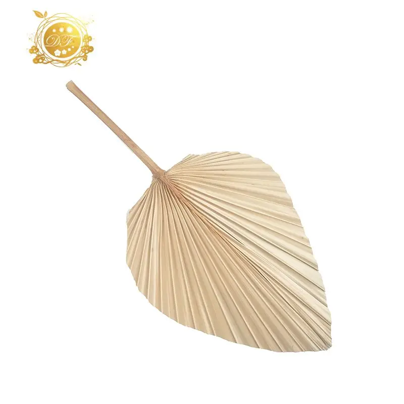 new design wholesale  palm trees leaves decorative dried palm leaves